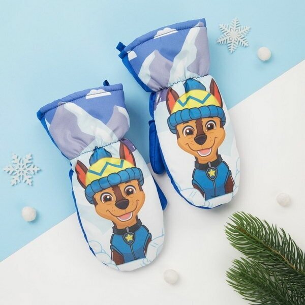 фото Рукавицы