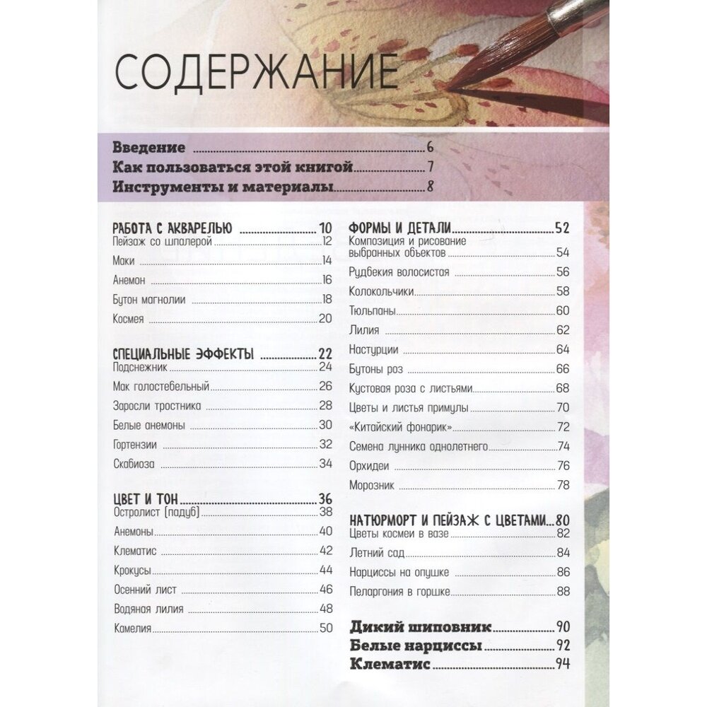 Цветы в акварели. Рисуем за 30 минут. 35 пошаговых проектов и схем - фото №10