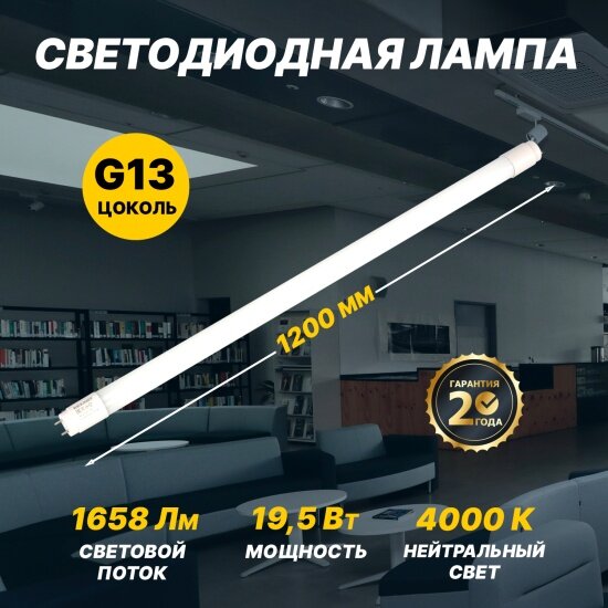 Светодиодная лампа Rexant матовая Трубка Т8 19,5Вт 1658Лм G13 AC 170-265В 1200мм 4000K нейтральный свет (604-4055)