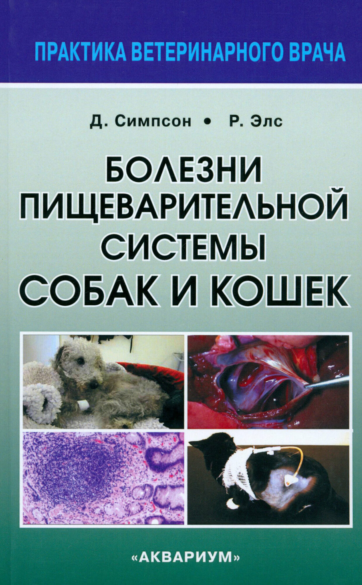 Болезни пищеварительной системы собак и кошек - фото №4