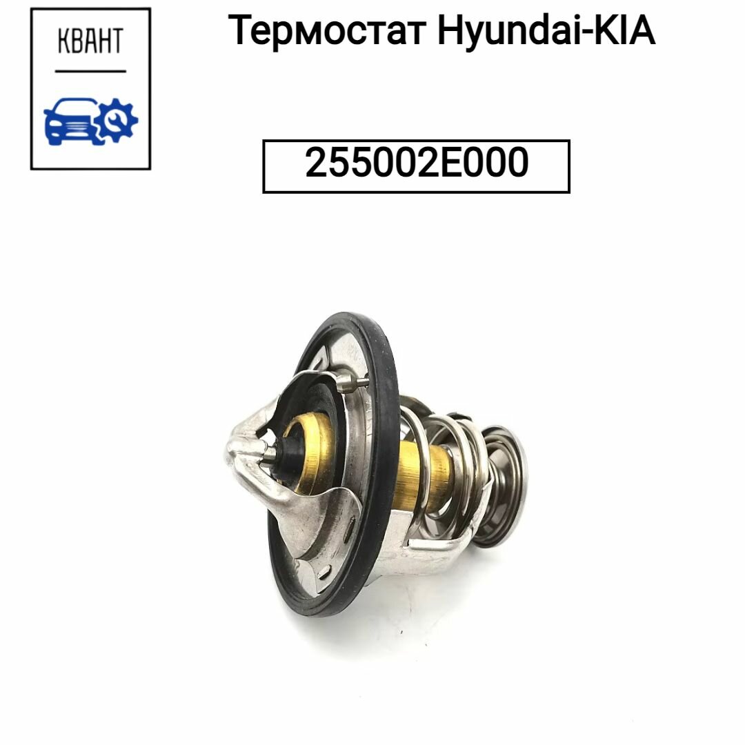 Термостат Hyundai-KIA 255002E000