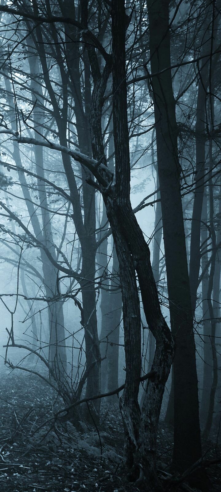 Самоклеящиеся фотообои 