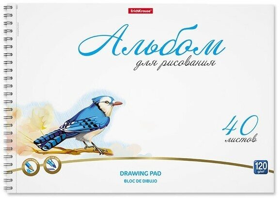 Альбом А4 40л на спирали ErichKrause Birds, микроперфорация 9560864