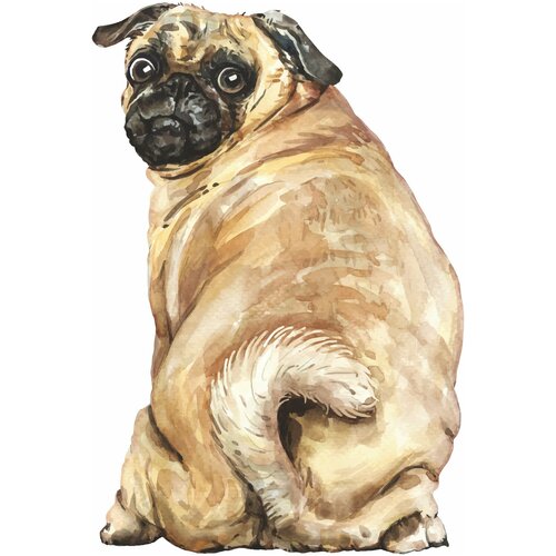 Наклейки на автомобиль на стекло прикольные 210₽