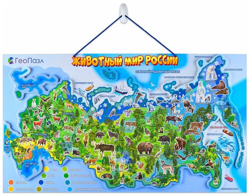 Магнитная карта Животный мир России