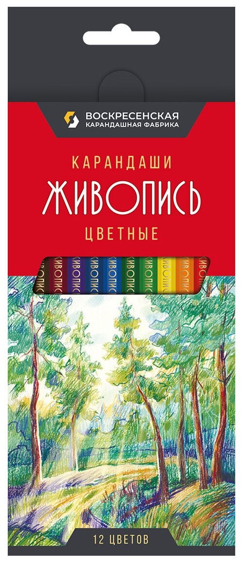 Набор цветных карандашей "ВКФ" "Живопись" JIV-CP-1012 заточенный 12 цветов