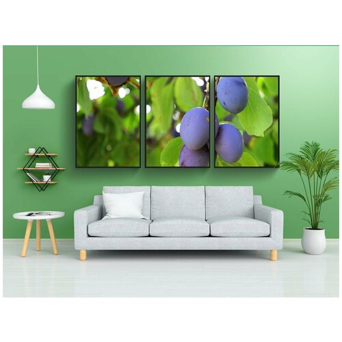фото Набор модулных постеров для интерьера "слива, фрукты, ветвь" 60x90 см. в тубусе, без рамки lotsprints