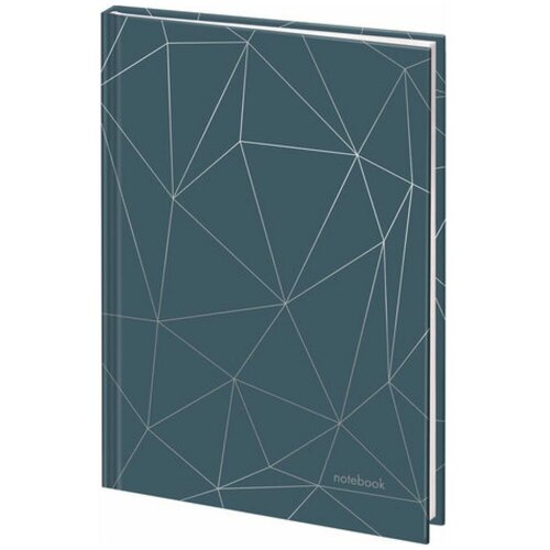 Недатированный ежедневник Staff Silver 301₽