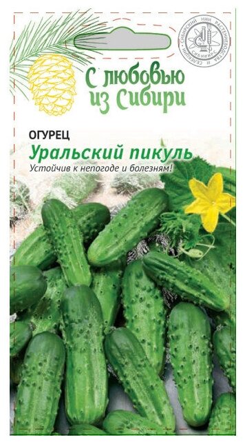Семена Огурец Уральский пикуль 0,25г для дачи, сада, огорода, теплицы / рассады в домашних условиях