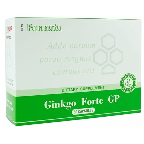 Santegra Ginkgo Forte GP капс., 60 шт., 1 уп.