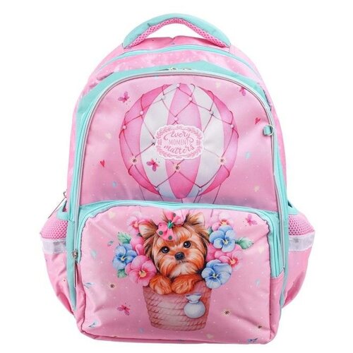 фото Рюкзак школьный эргоном.спинка hatber soft 37*28*17 дев "воздушный шар", розовый nrk_49112