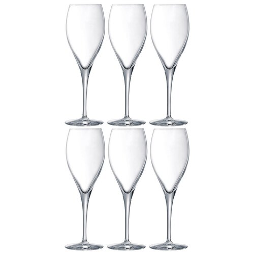 Набор из 6 бокалов для шампанского Oenologue 260 мл, хрустальное стекло, Chef and Sommelier, Франция, U0952