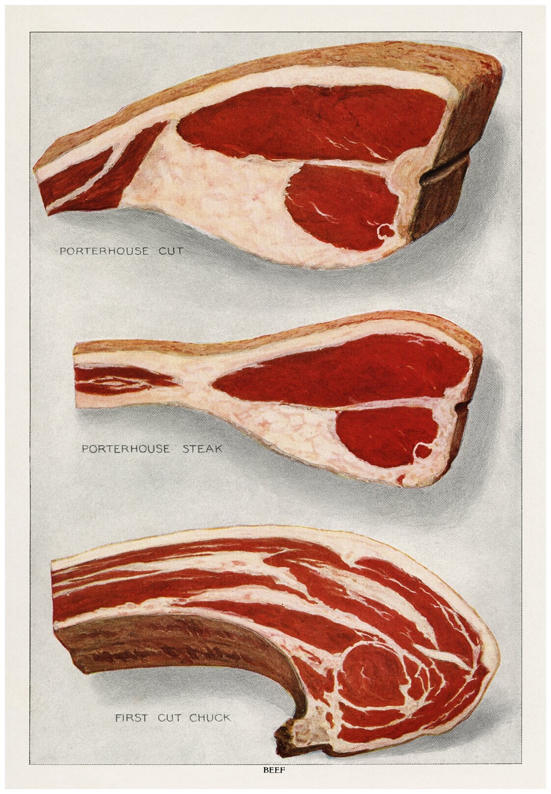 Постер / Плакат / Картина Виды стейков