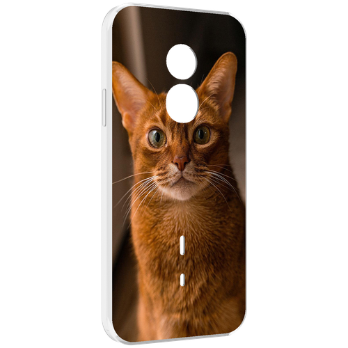 Чехол MyPads порода кошки абисинская для Doogee S51 задняя-панель-накладка-бампер