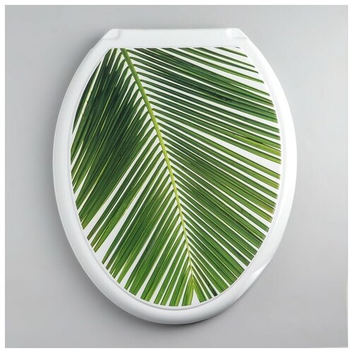 фото Сиденье с крышкой для унитаза "декор. пальма", цвет белый 1593630 росспласт