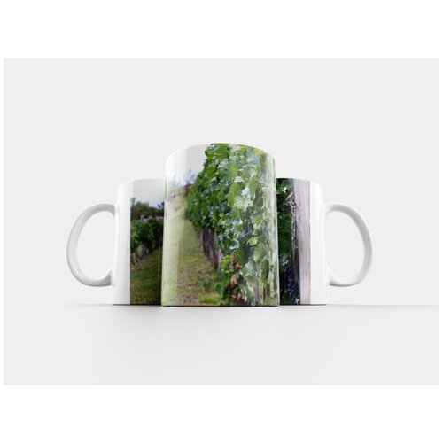 фото Кружка "вино, виноградник, weinreebe" 320 мл lotsprints