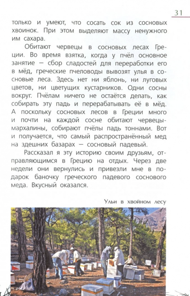 Язык на ногах. Очерки о насекомых - фото №5