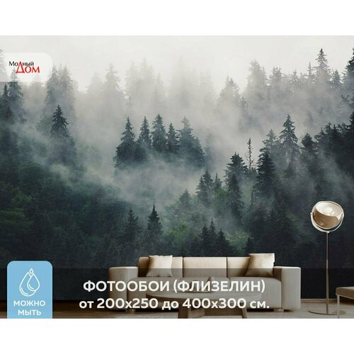 Фотообои на стену Модный Дом Лес в Тумане 400x300 см (ШxВ)