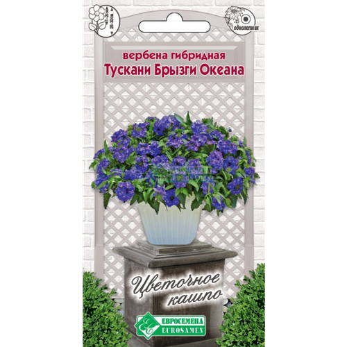 Семена Вербены гибридной Тускани Брызги океана (Verbena hybrida Tuscany Blue) (8 семян)