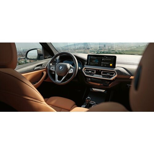 Плёнка на мультимедиа BMW X4 (G02) (2021 -)