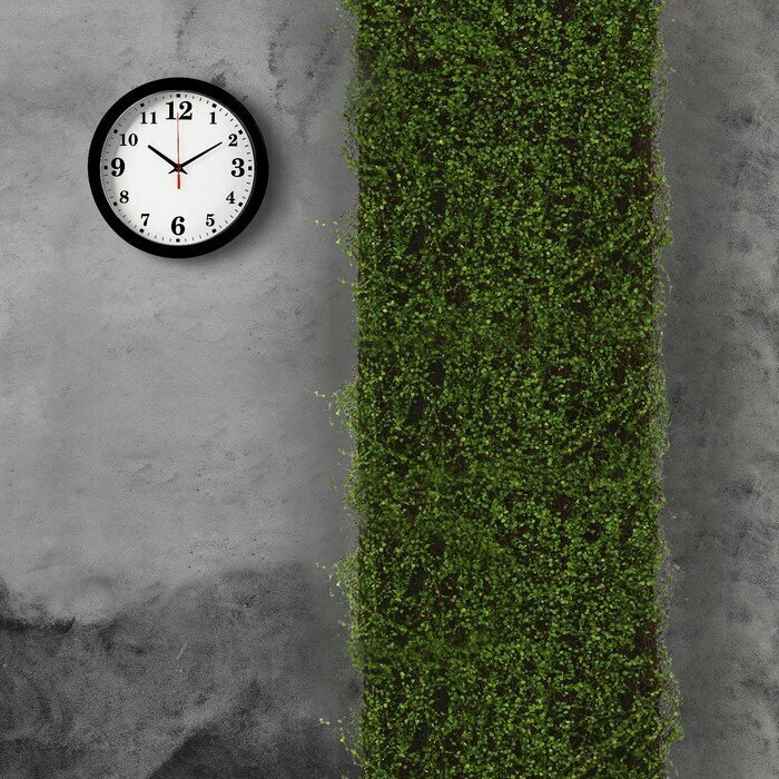 Декоративная панель, 90×40 см, Ряска, Greengo