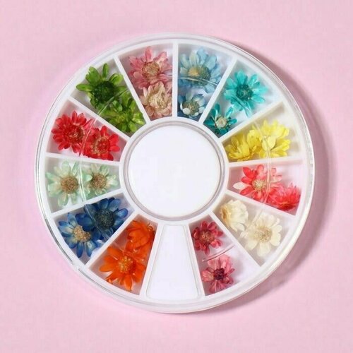 Сухоцветы для маникюра 12 видов карусель разноцв пакет QF 800₽