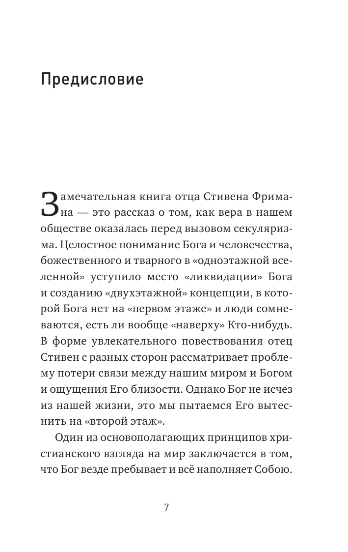 Бог одноэтажной вселенной (Фриман, Протоиерей Стивен) - фото №5