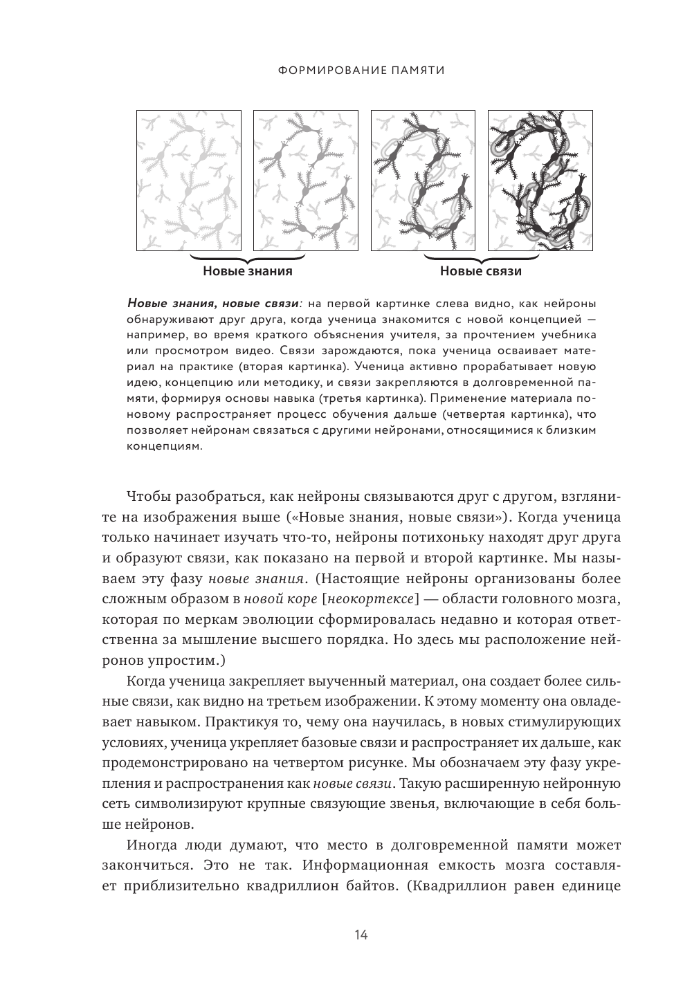 Научить невозможному. Как помочь ученикам освоить любой предмет и не бояться экзаменов - фото №13