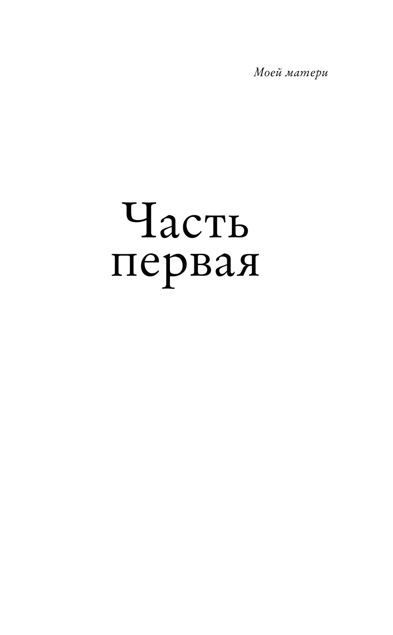 Небо повсюду (Дженди Нельсон) - фото №14