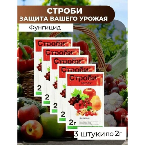 Строби 3 шт Фунгицид против грибных и бактериальных заболеваний для садовых растений