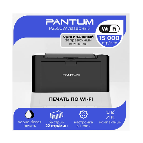 Принтер лазерный Pantum черно-белая печать A4 до 22 стрмин черного цвета 1749000₽