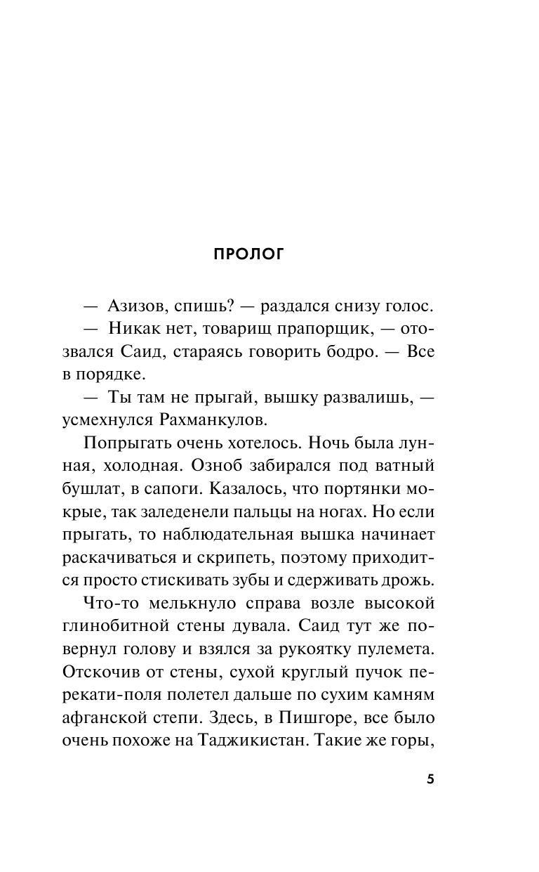 Панджшерский узник (Прокудин Николай Николаевич, Волков Александр Иванович (соавтор)) - фото №7