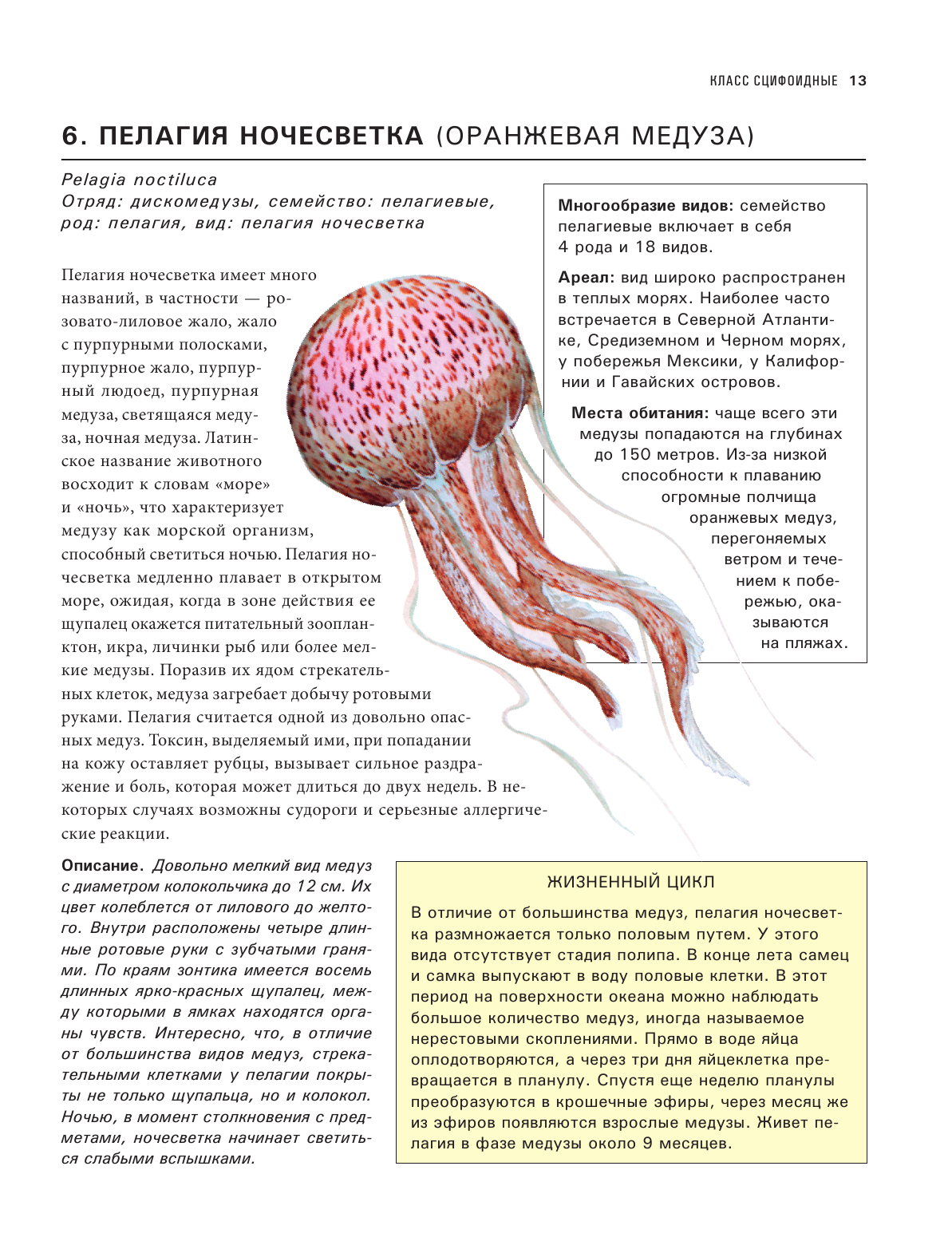 Подводный мир. Большая иллюстрированная энциклопедия - фото №16