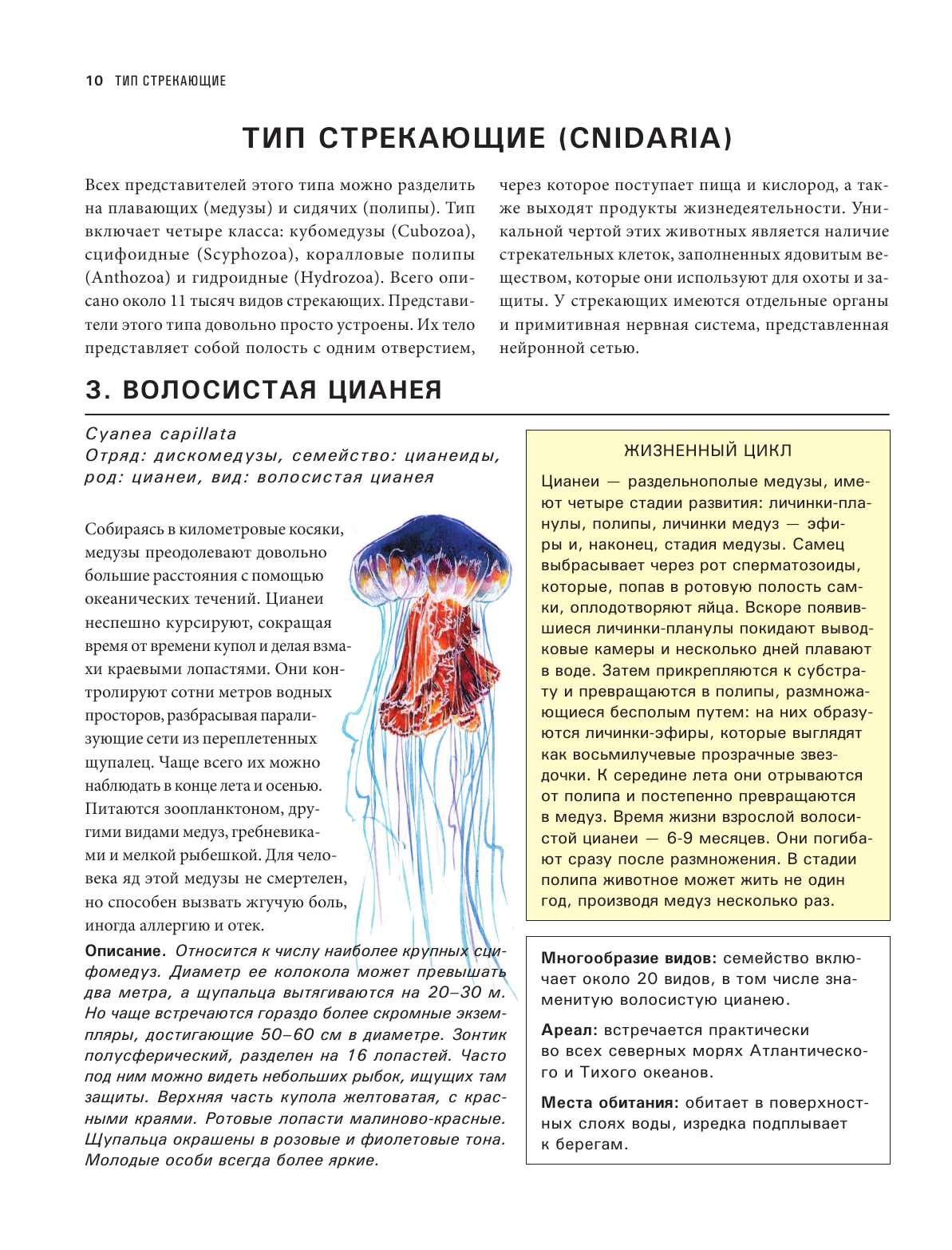 Подводный мир. Большая иллюстрированная энциклопедия - фото №13