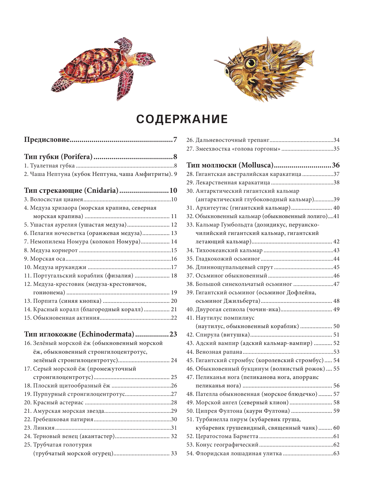 Подводный мир. Большая иллюстрированная энциклопедия - фото №3