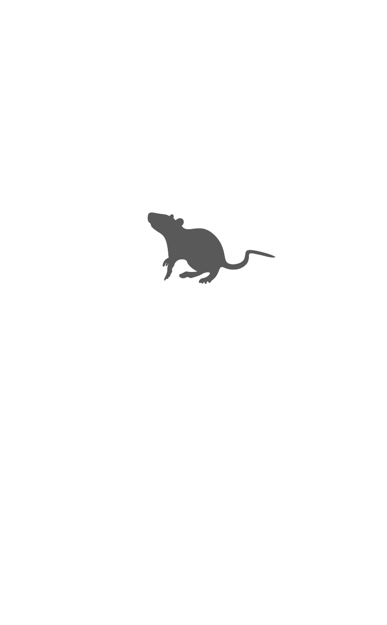 Обрывок летописи года металлической крысы - фото №3