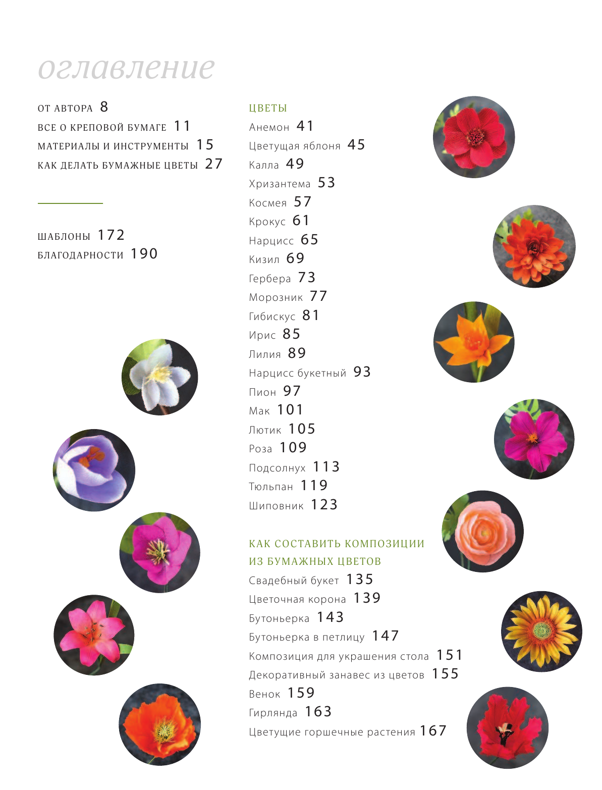 Всем цветы! Роскошные цветочные композиции из бумаги. Практическое руководство для начинающих - фото №5