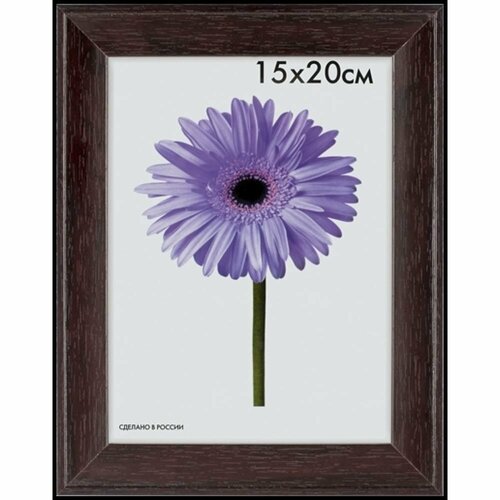 ООО Изометрика Рамка пласт. Aida 70*100см венге 0041-70-1206