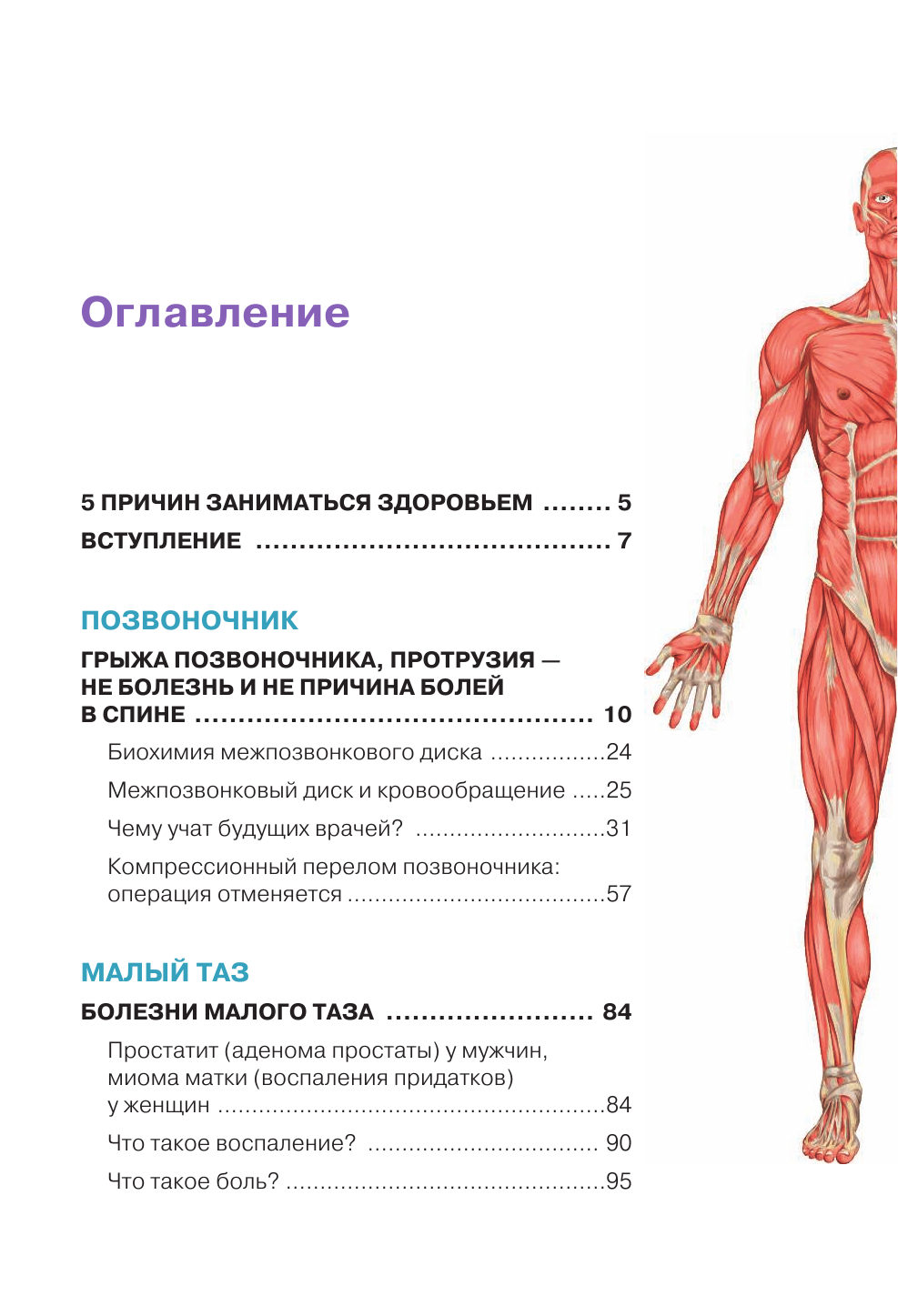 Функциональная анатомия здоровья - фото №3
