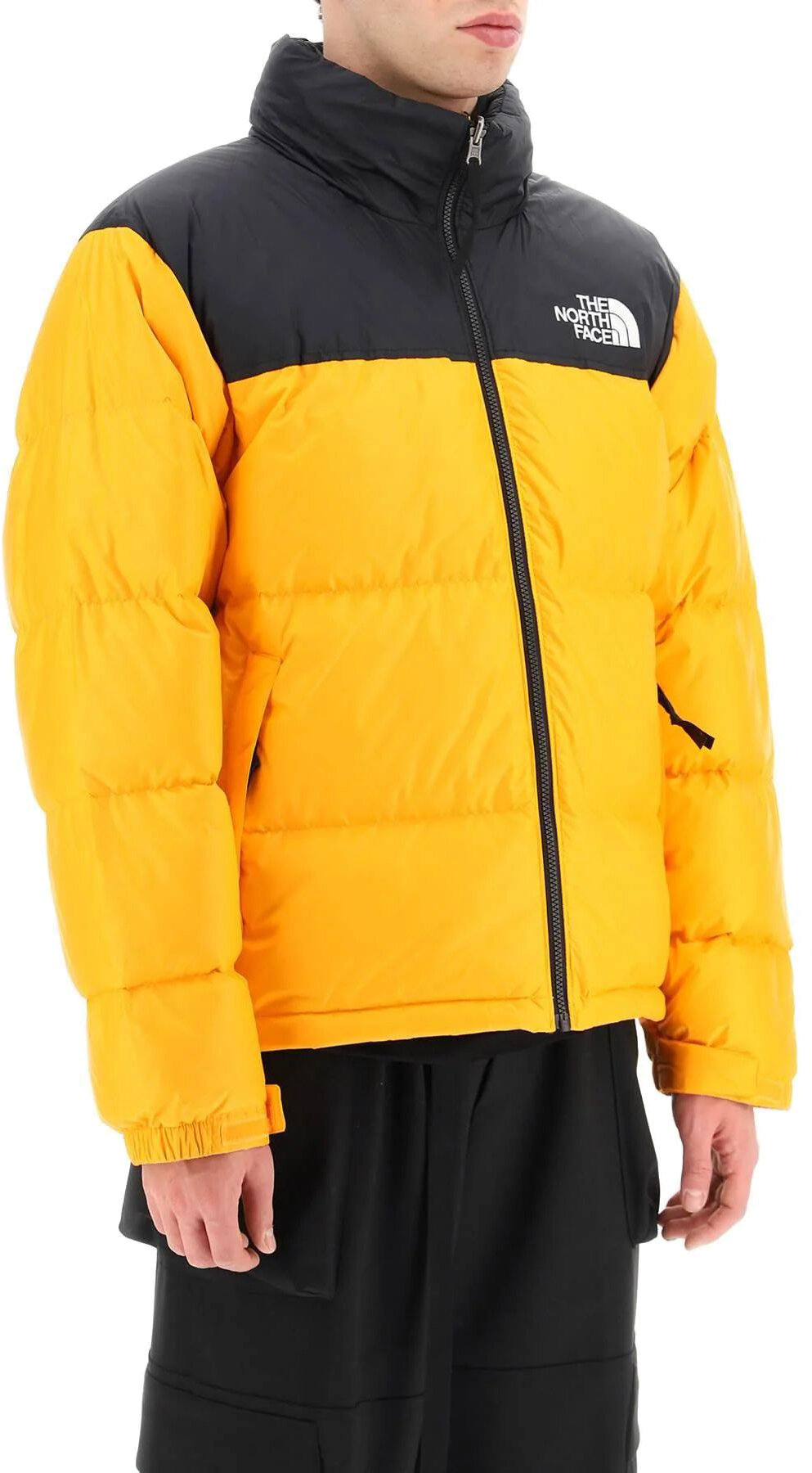 Куртка спортивная The North Face