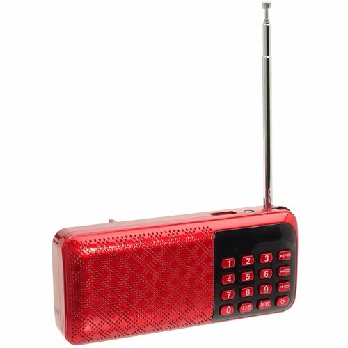 Цифровой портативный радиоприёмник NEWMINE F58 Диапазон FM Цифровая обработка сигнала Питание от двух Aккумуляторов 18650 1300mAh 159000₽