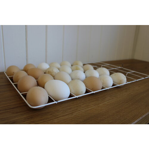 Решетка куриная для инкубатора Несушка на 36 куриных яйца