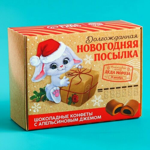 Шоколадные конфеты "Новогодняя посылка" с апельсиновым джемом, 150 г.