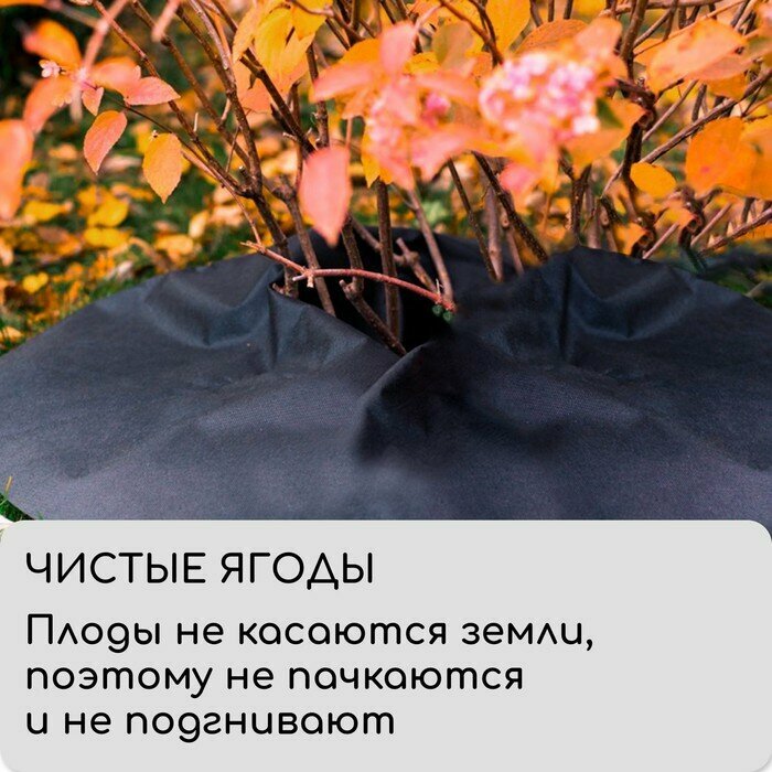 Круг приствольный, d = 0,8 м, плотность 60 г/м², спанбонд с УФ-стабилизатором, набор 5 шт, чёрный, Greengo, Эконом 20% — фото 7