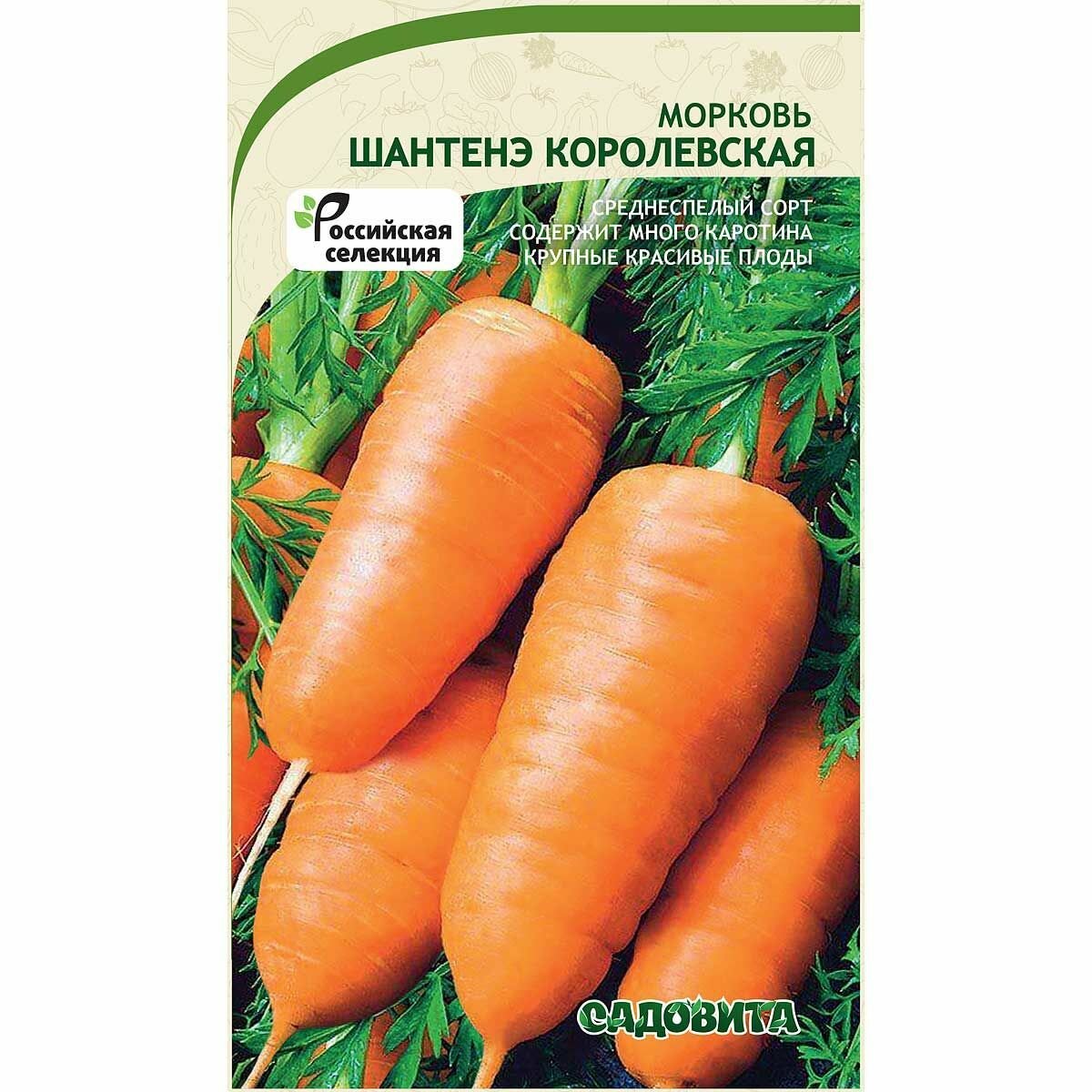 Морковь Шантенэ королевская 1г Садовита