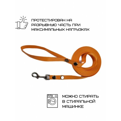 Поводок Хвостатыч для собак нейлоновый классический 1.5 м х 15 мм (Оранжевый)