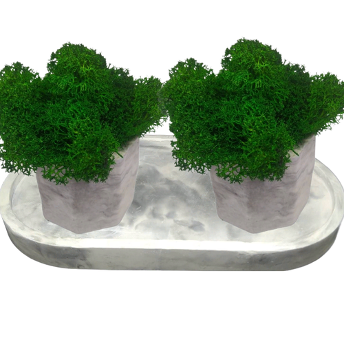 Декоративный мох в кашпо из гипса 2 шт с подносом