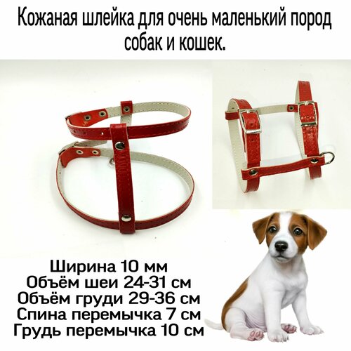 Шлейка из натуральной кожи для мелких пород собак и кошек. Кожаная шлейка.