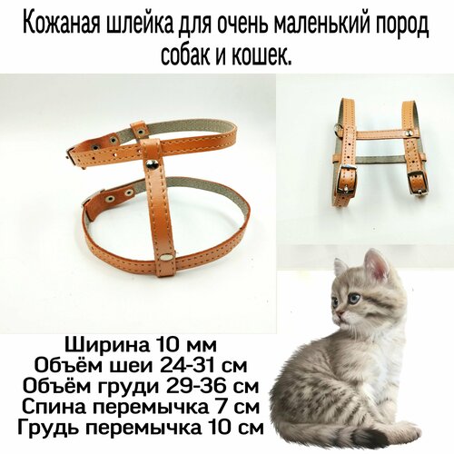 Шлейка из натуральной кожи для мелких пород собак и кошек. Кожаная шлейка.