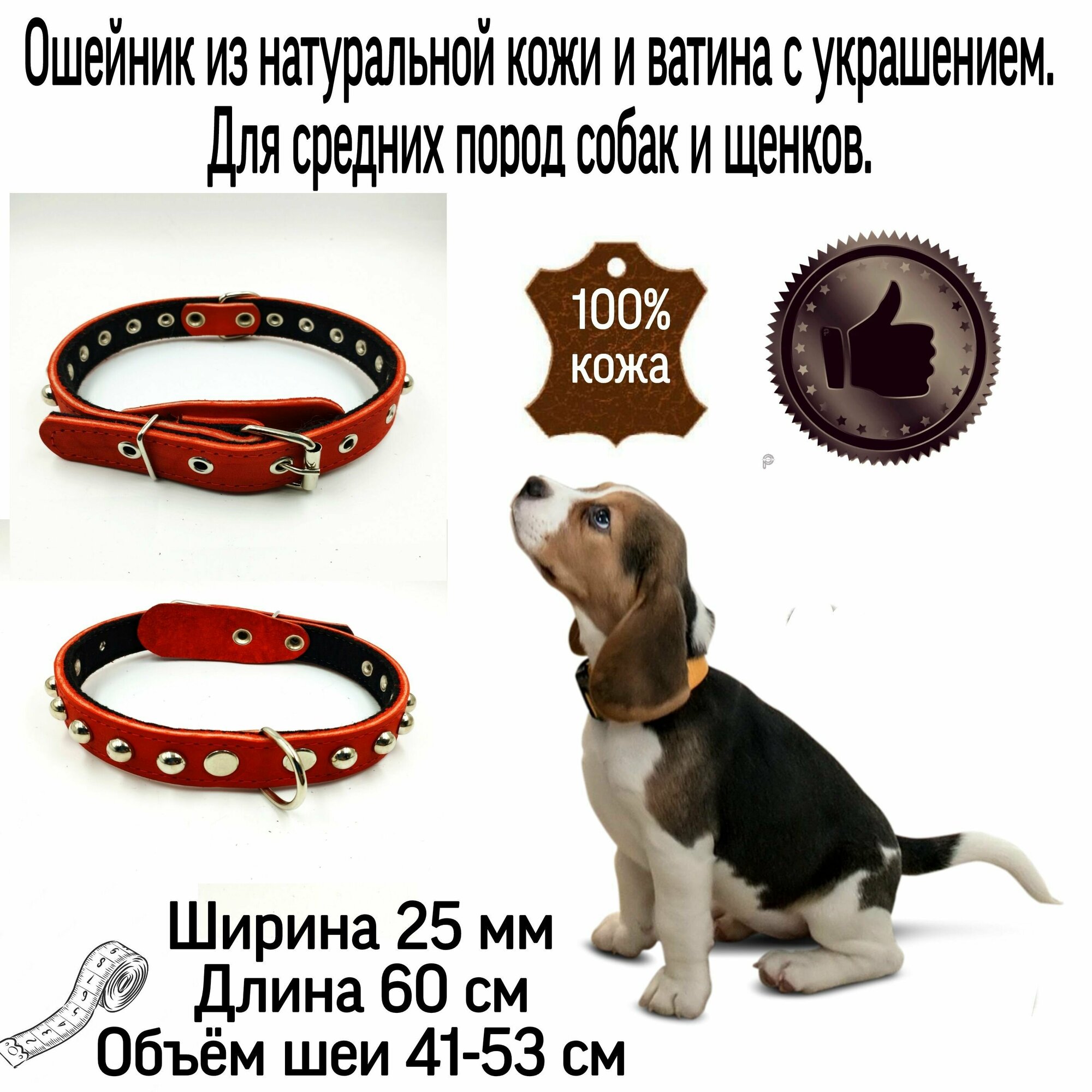 Ошейник для для собак кожаный с украшением, второй слой ватин 25мм *60см. Объём шеи 41-53 см. Кожаный ошейник для средних пород собак.